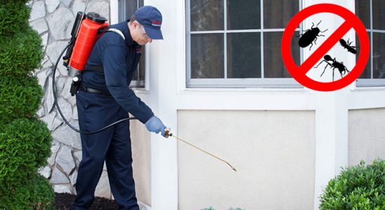 Boğazlıyan Karınca İlaçlama böcek ilaçlama ve haşere kontrolü — ilaclama-tr.com